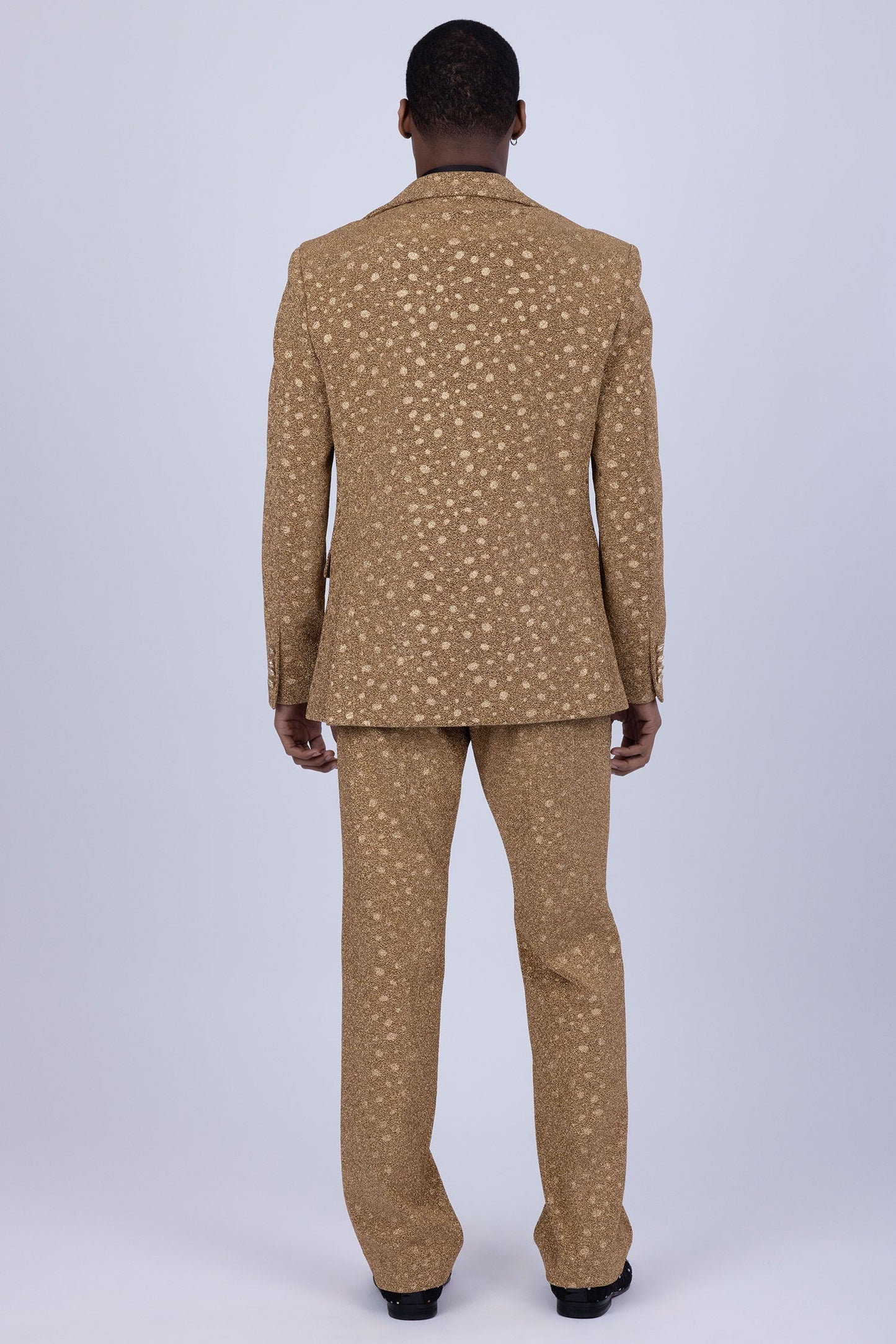 Jaipur Sparkling Suit